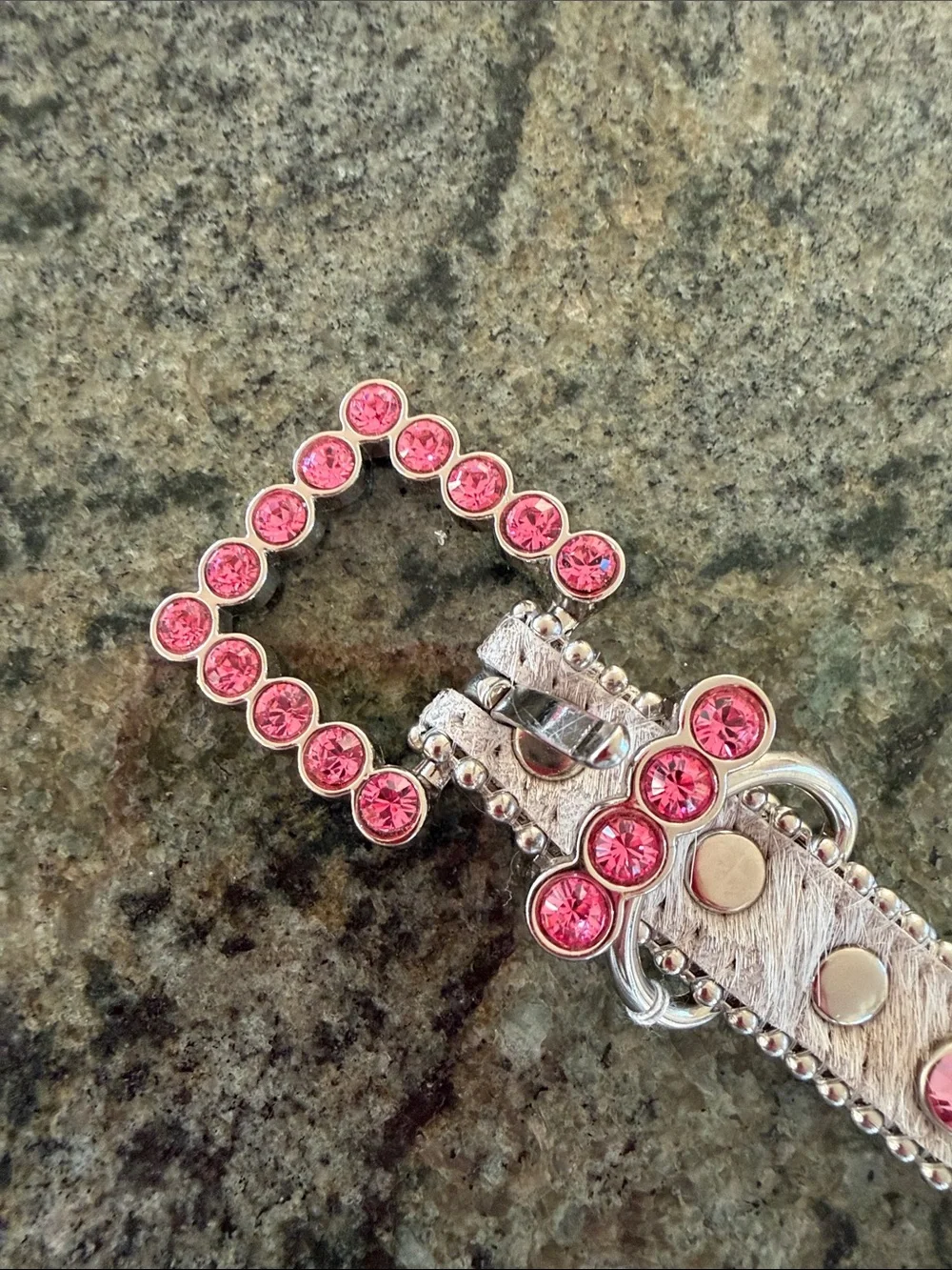 Stylish Designer Dog collar  – b.b Simon